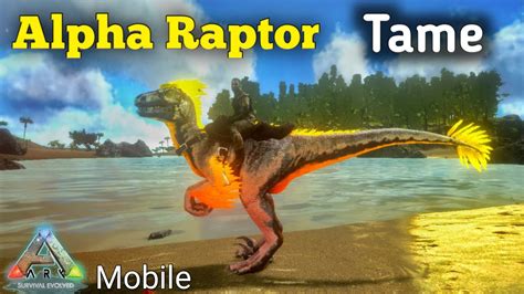 How To Tame Alpha Raptor In ARK Mobile YouTube