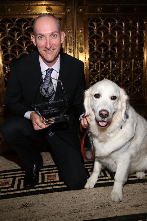 Pet Hero Awards Honor the Champions of Animal Welfare | Newswire