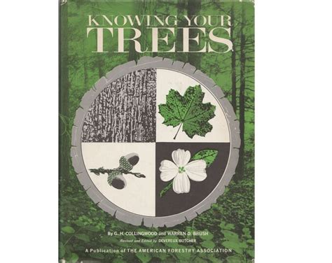 Vintage Tree Book Knowing Your Trees Arbor Day Tree Identification