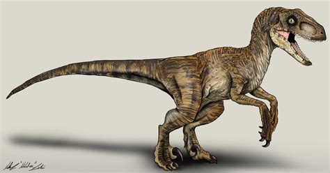 Velociraptor Concept Art