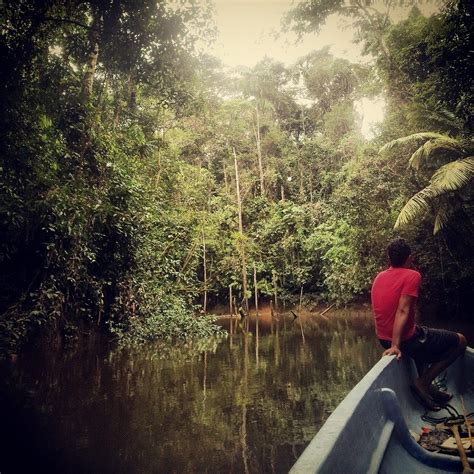 Review Of Amazon Rainforest Cuyabeno Lodge Coffeewithasliceoflife