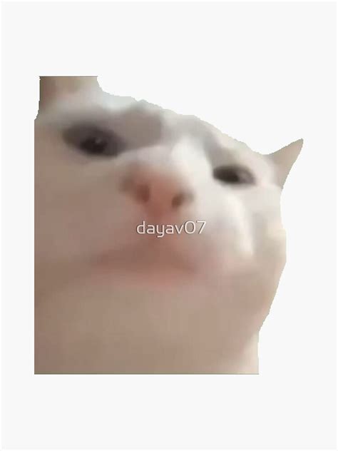 Cat Vibing Meme Sticker For Sale By Dayav07 Redbubble