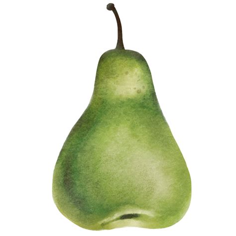 Pear Fruit Watercolor 34971484 Png