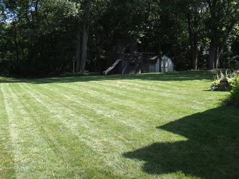 Mid Summer Lawn And Garden Style