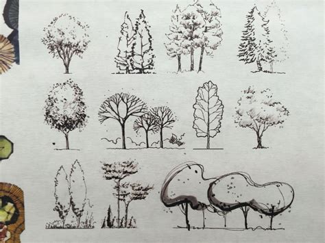 √ Sketches Of Trees