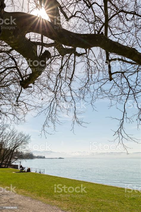 Beautiful Springtime Landscapes Beach In Kressbronn Lake Constance