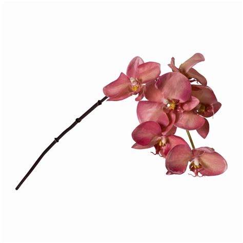 Artificial Phalaenopsis Orchid Flower Stem Hot Pink Shop Lifelike