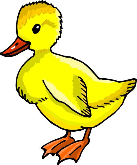 Images Of Cartoon Ducks