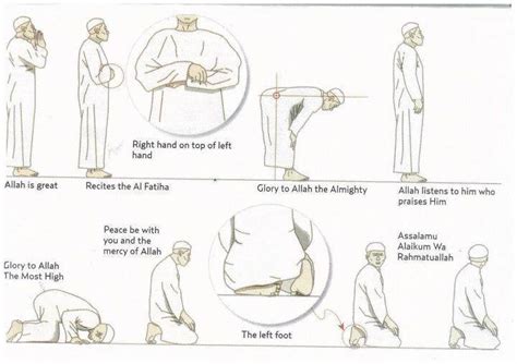 Amliyat dua is an online website that provides islamic amliyat and dua prayers for different problems in life. Illustrative guide for various positions during salat : islam