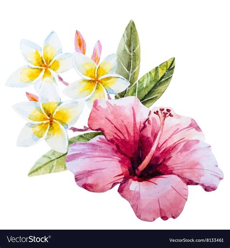 Hibiscus Clipart Watercolor Pictures On Cliparts Pub 2020 🔝