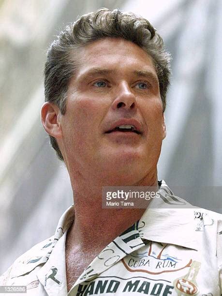 David Hasselhoff On Broadway Photos And Premium High Res Pictures