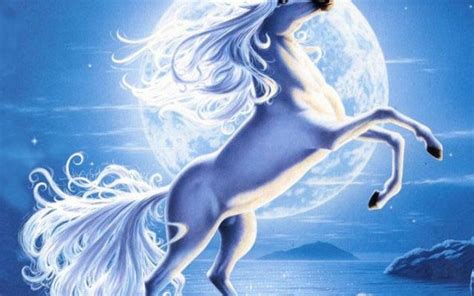 Unicorns Magical Creatures Wallpaper 7842111 Fanpop