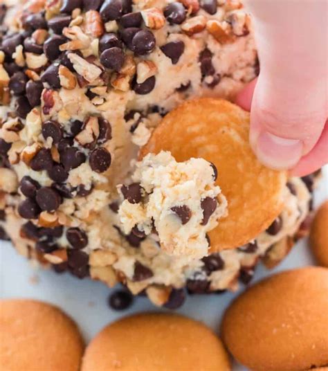 Chocolate Chip Cheese Ball Recipe Build Your Bite