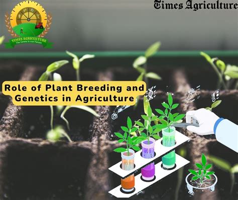 Role Of Plant Breeding And Genetics In Agriculture Complete Overview