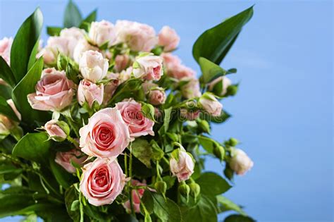 Bouquet Of Several Branches Of Pink Roses Background Of Pink Roses