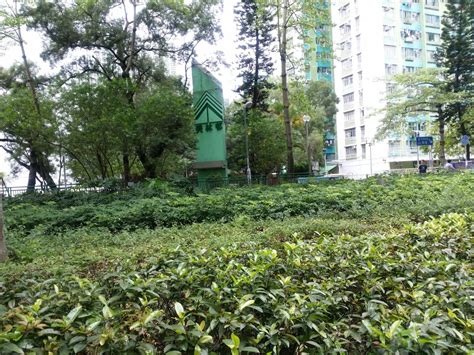 Search for text in url. 房委會物業位置及資料 | 香港房屋委員會及房屋署