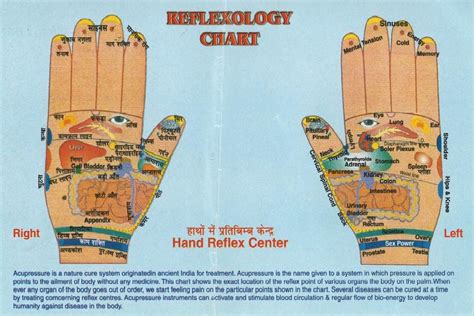 Gadget गुरूs Mouthpiece Reflexology Chart Acupressure Points On Our