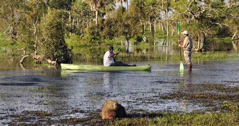 Luxury Tailor Made Wildlife Holidays In Ibera Wetlands Argentina