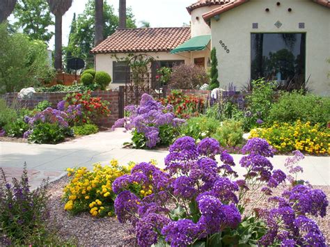 Front Yard Drought Tolerant Plants 5 Easy Tips