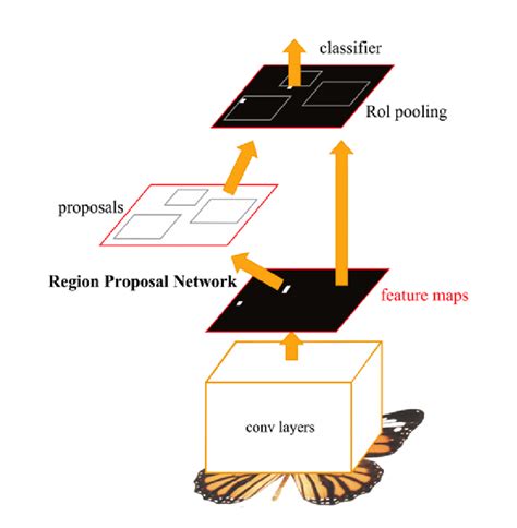 The Structure Diagram Of Faster R Cnn Download Scientific Diagram