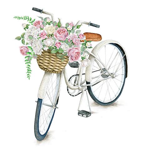 Decorative bike with baskets of flowers. Vintage Bicycle Illustrations, Royalty-Free Vector ...