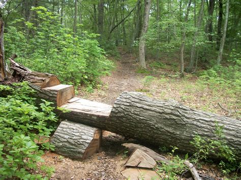 Backyard bike shop gravel ride. how to build freeride structures - Google Search | Mtb ...
