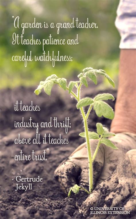 Garden Education Quotes Quotes For Mee