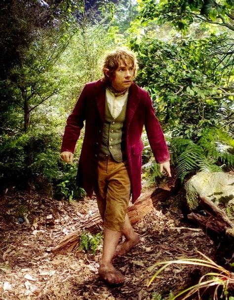 Bilbo Baggins The Hobbit Movies The Hobbit Bilbo Baggins