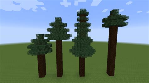 In order to grow a 2×2 tree (be it spruce, jungle or dark oak), four saplings must be placed adjacent to each other in a. Image - Mega Spruce Trees.png | SurvivalCraft Wiki ...