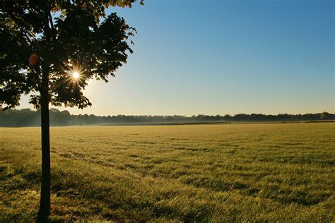 Land Field Sunrise Free Photo On Pixabay