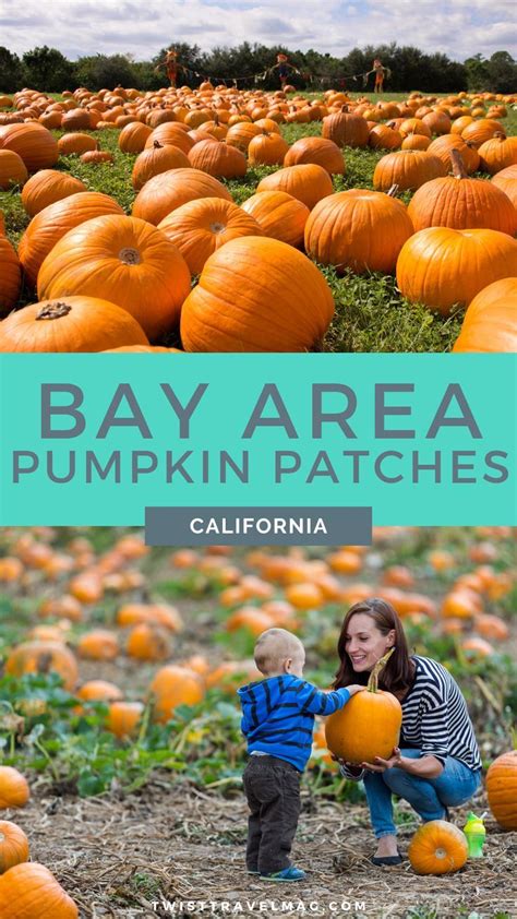 13 Best Bay Area Pumpkin Patches Approved By Us Artofit