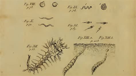 Antoni Van Leeuwenhoek Micropia