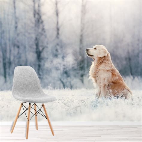Your golden retriever needs to live indoors as part of the family. Golden Retriever Hund Fototapete Weißer Winter Tapete ...