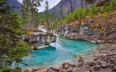 Mountain Blue River Forest Mountain Landscape British Columbia