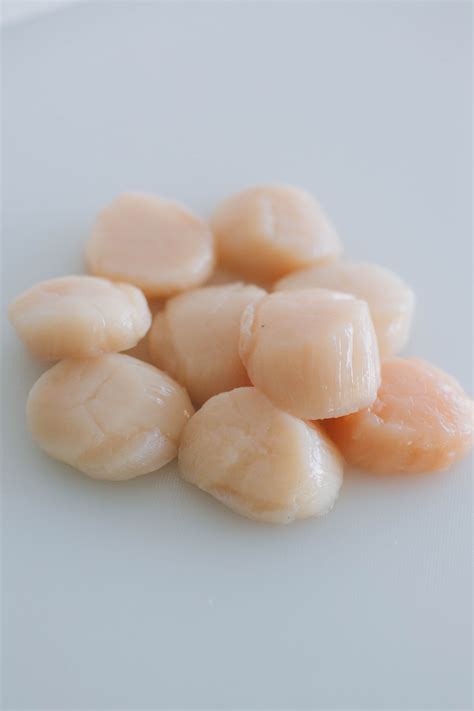 Best Frozen Quality Scallops Seafood At Lowest Prices