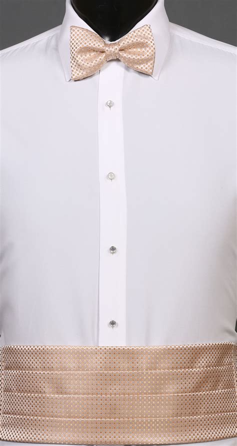 We did not find results for: Champagne Vertical Dot Cummerbund and Bow Tie by Larr Brio ...