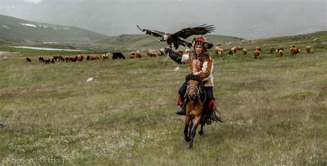 Idea academy is a teaching centre for digital and traditional arts aimed at turning students into professionals in the creativity and entertainment fields. How to Experience Traditional Mongolian Culture - Green ...