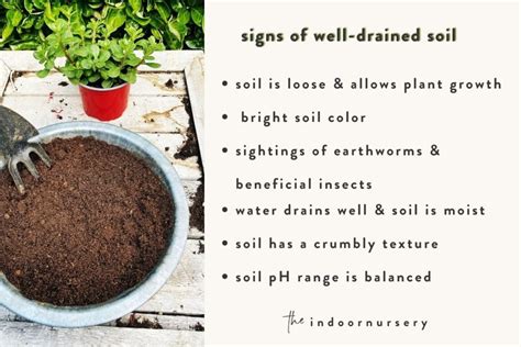 Soil Draining How To Make Your Soil Drain Better