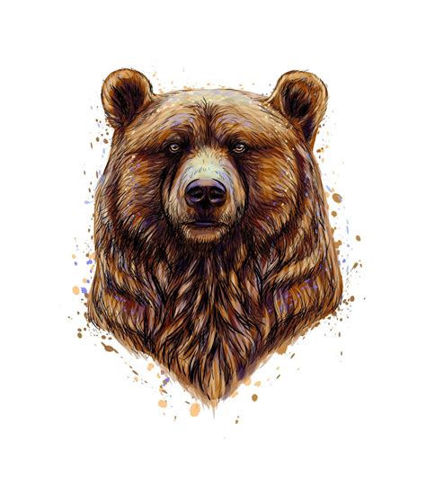 Portrait Of A Brown Bear Head From A Splash Of Watercolor Hand Drawn