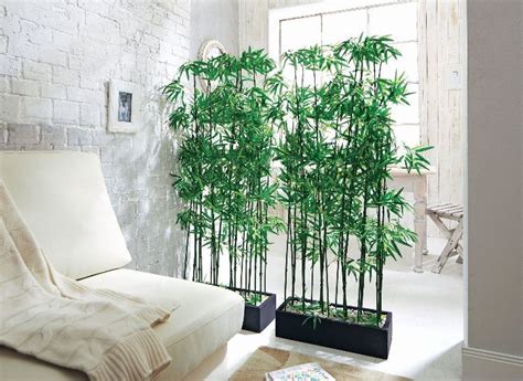 Der bambus im topf oder als kübelpflanze kann als mobile, grüne oase von draußen nach drinnen befördert werden. diy trennwand raumtrenner pflanzen raumteiler pflanzgefäße ...