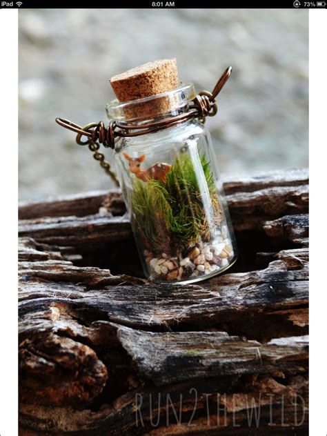 Mini Necklace Terrarium Mini Bottle Mini Glass Bottles Glass Vials