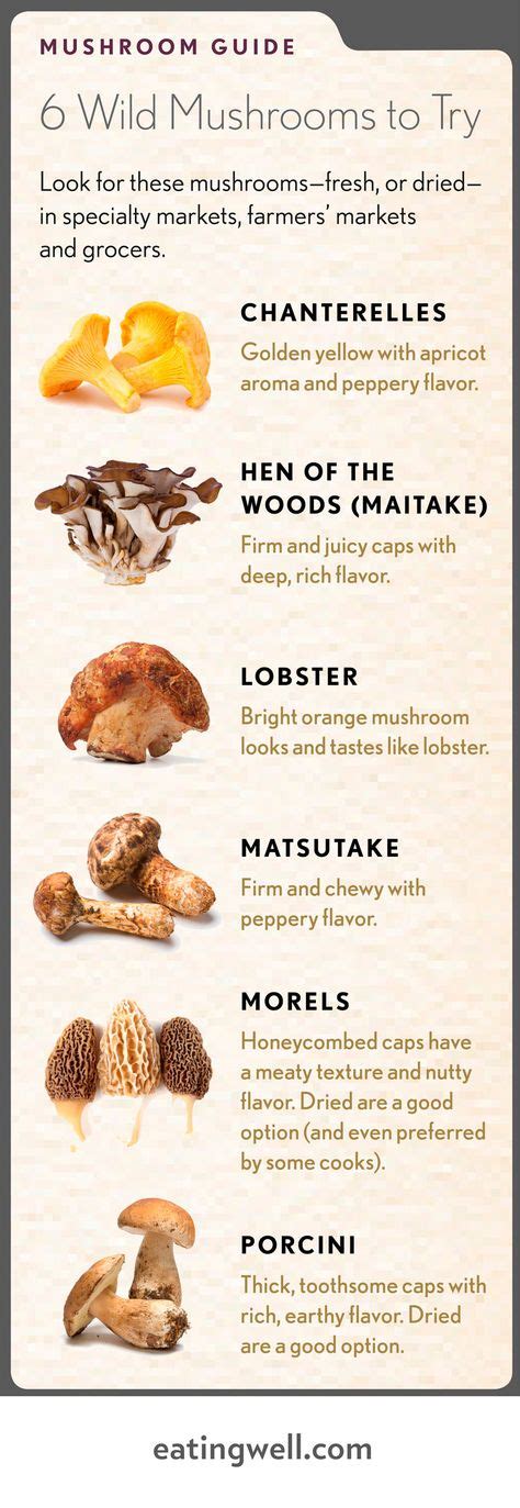 27 Best Mushroom Identification Images Stuffed Mushrooms Mushroom