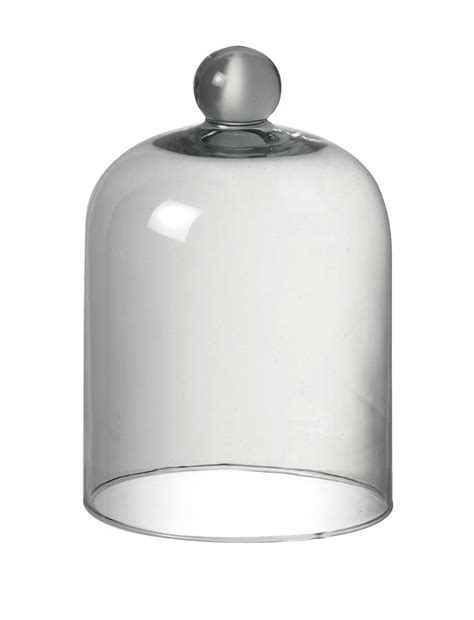 Glass Bell Display Dome By Ella James