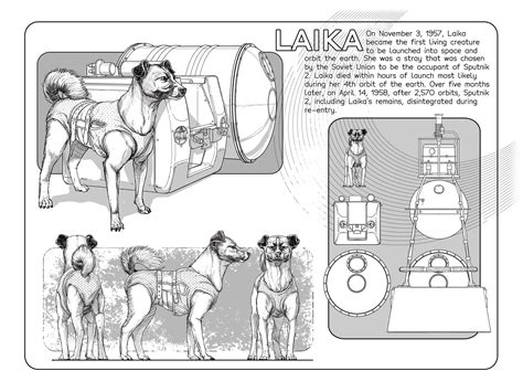 Laika The Space Dog And Sputnik 2 Digital Print Etsy