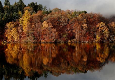 Autumn Colours Are Reflected In Loch Faskally In Pitlochry Scotland