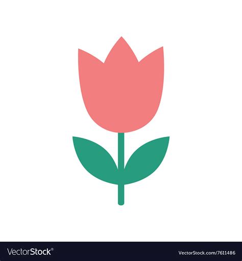 Flat Icon On White Background Tulip Blooms Vector Image
