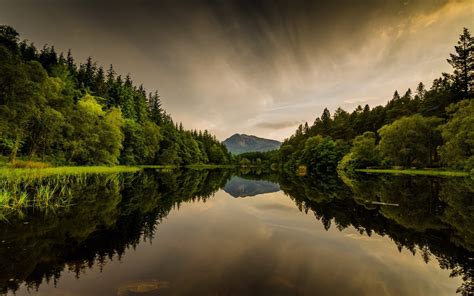 Reflection HD Wallpaper | Background Image | 2560x1600 | ID:542475 ...