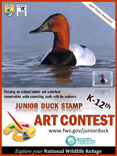 Junior Duck Stamp Contest Ebird