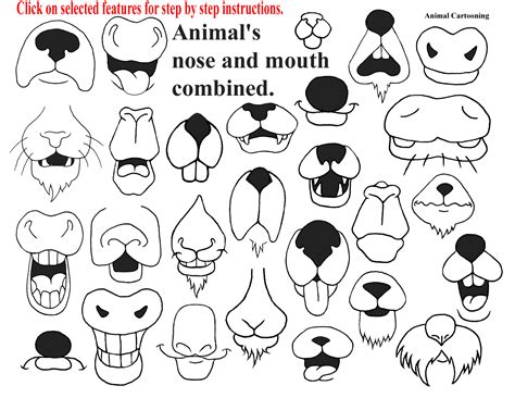 Animal Noses Drawing Clip Art Library