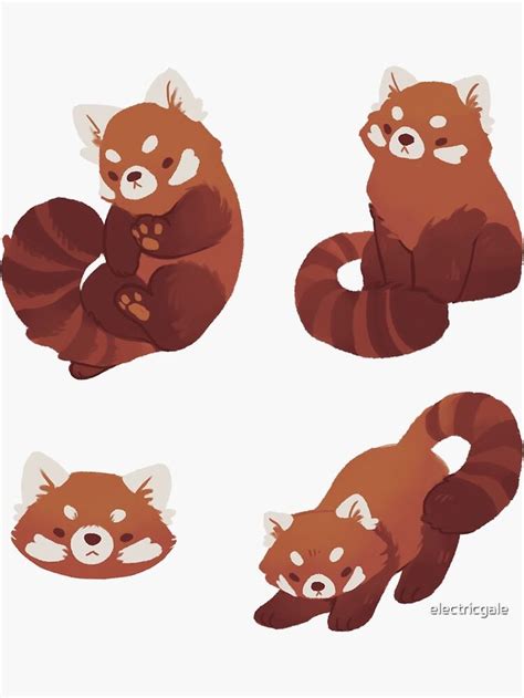 Red Pandas Sticker By Rowan Kingsbury Red Panda Cartoon Panda Art